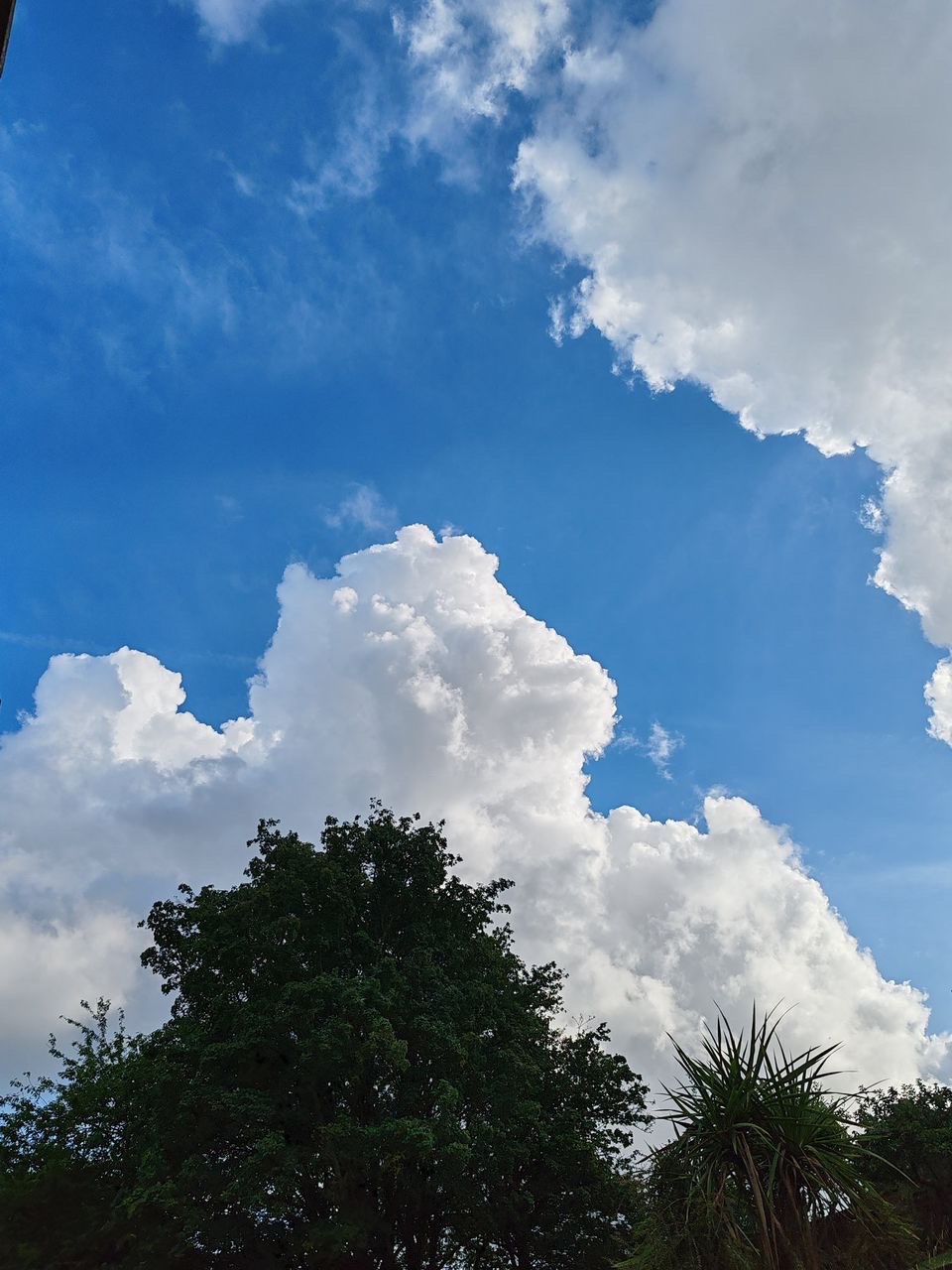 Blue sky serenity