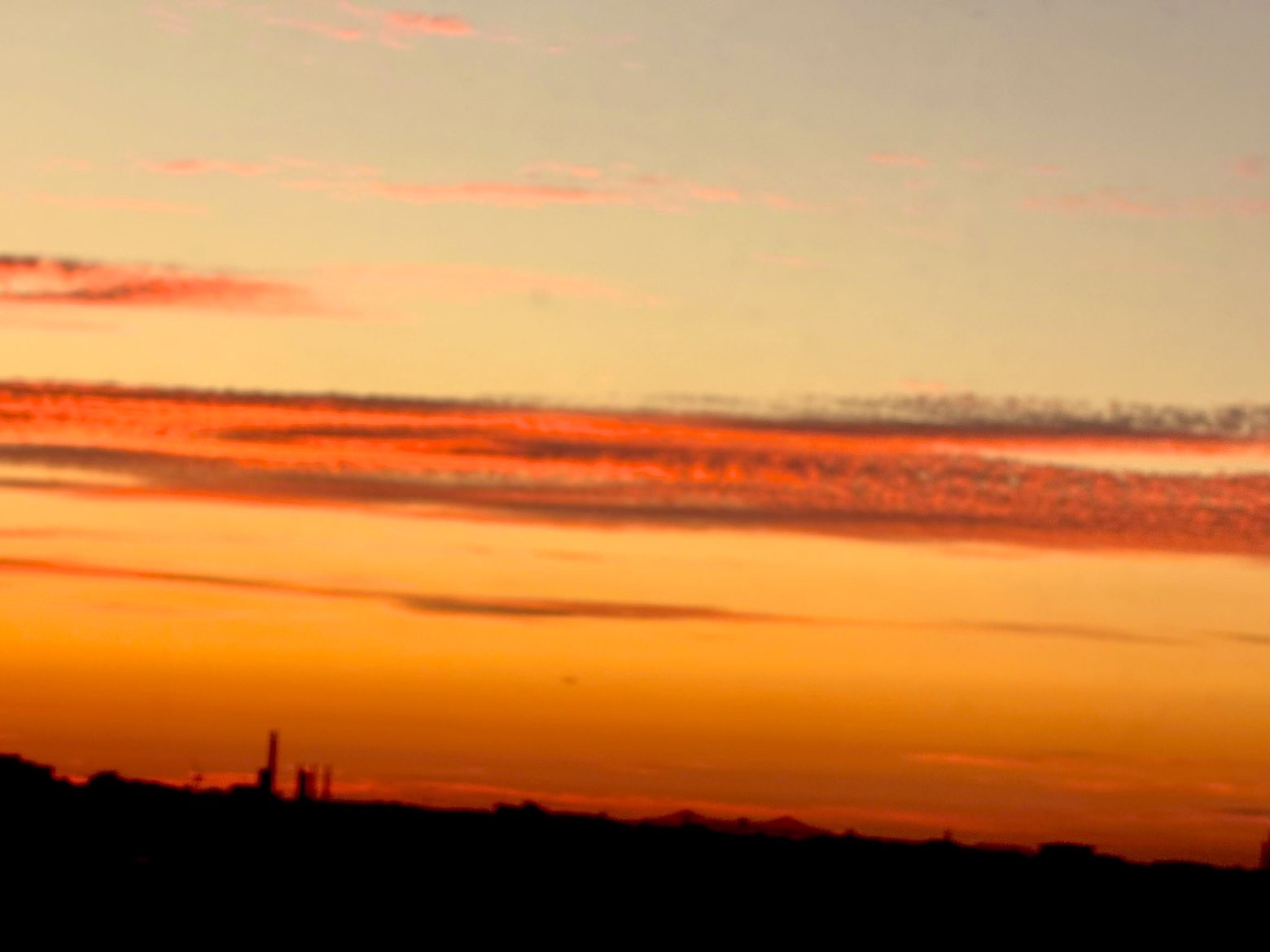 Sunset Silhouettes