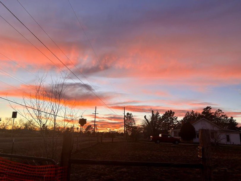 Wired Sunset