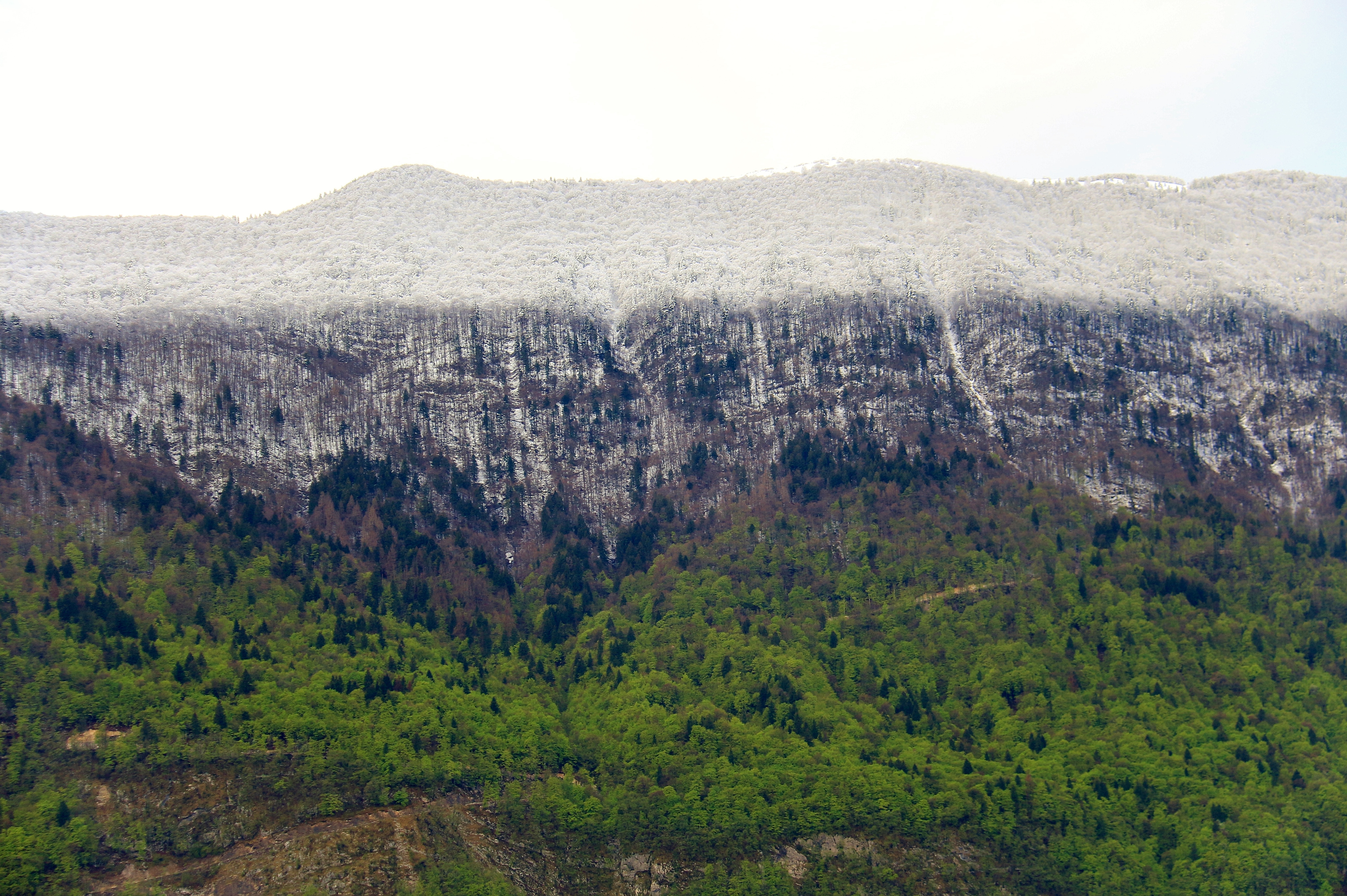 Snow in May