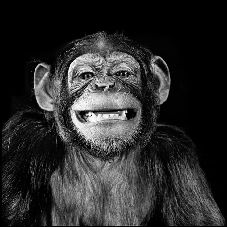 Grin Master