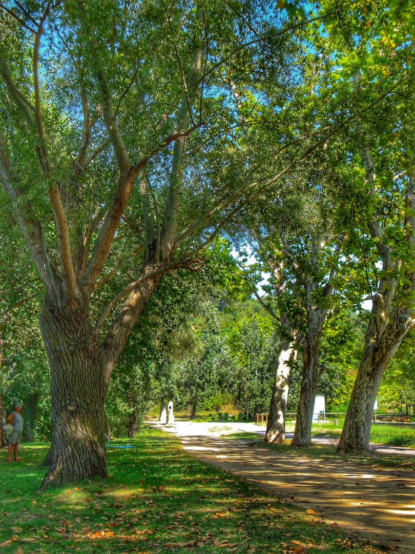 Banyoles