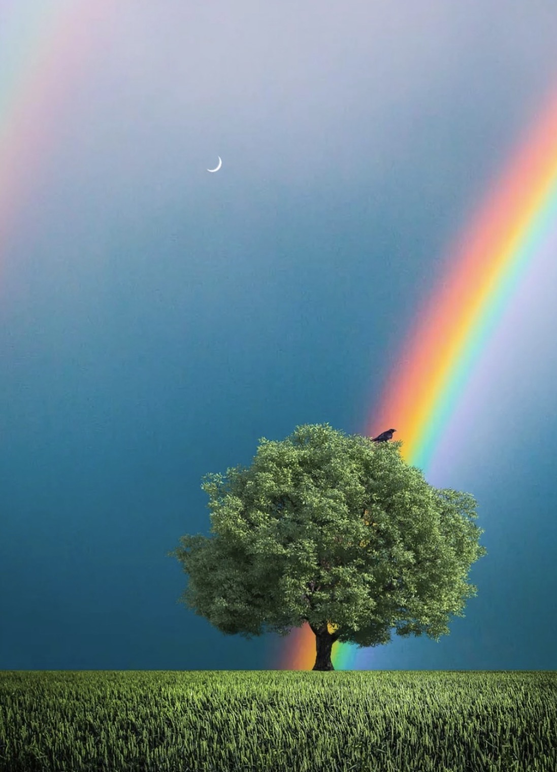Rainbow tree