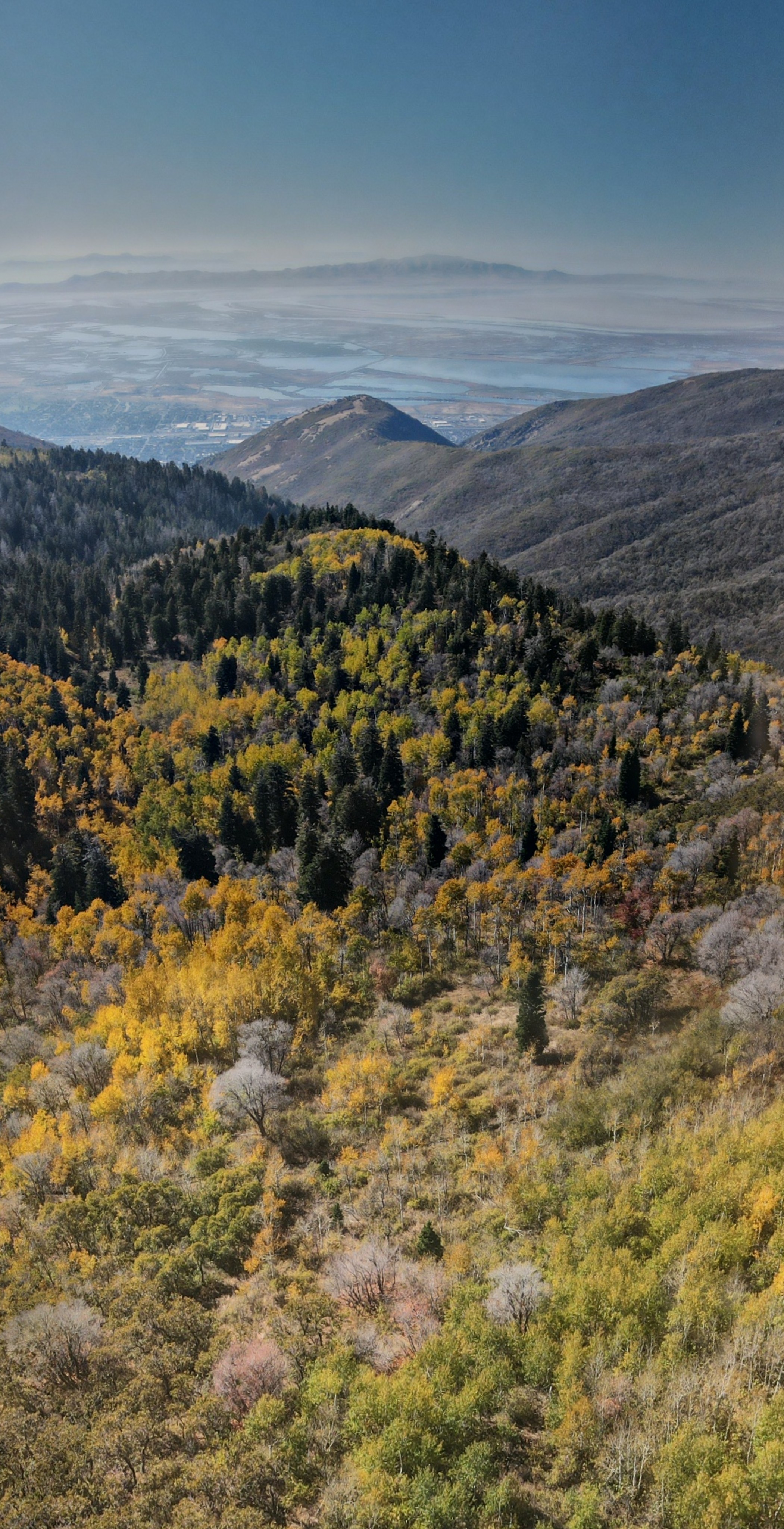 Susurro del otoño